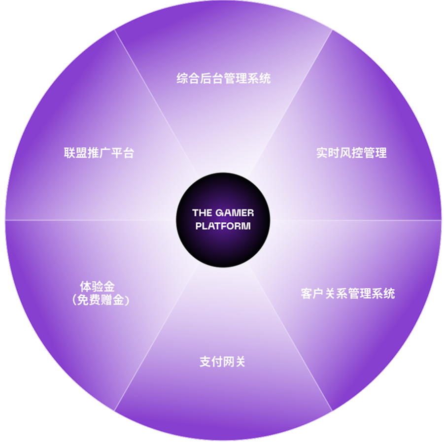 The Gamer 平台：集成后台管理、实时风险管理、客户关系管理、支付网关、免费额度及代理平台。